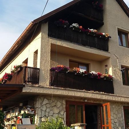 Apartmany Sharka -Sarka Justrova Decin Exterior foto