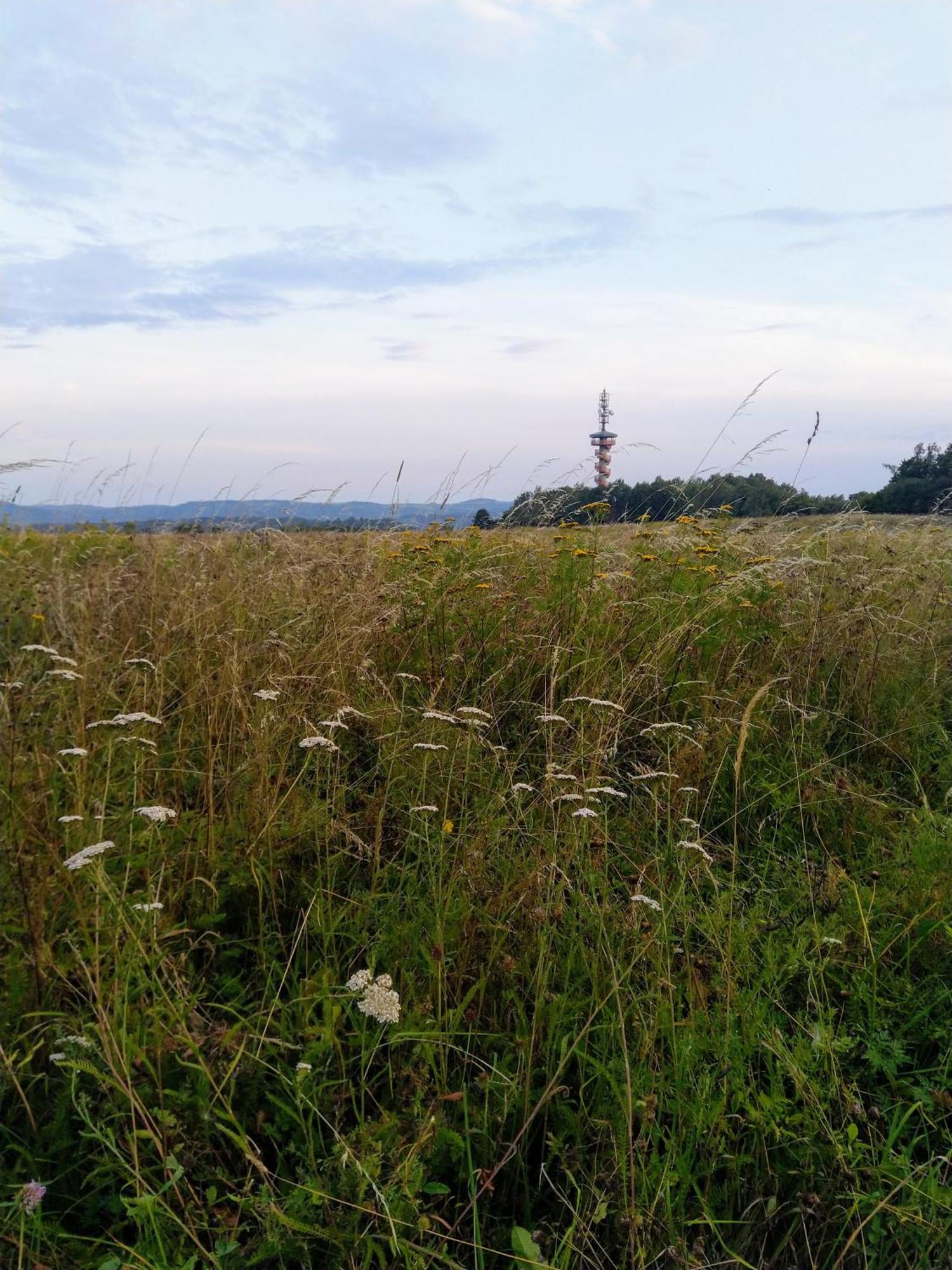 Apartmany Sharka -Sarka Justrova Decin Zimmer foto