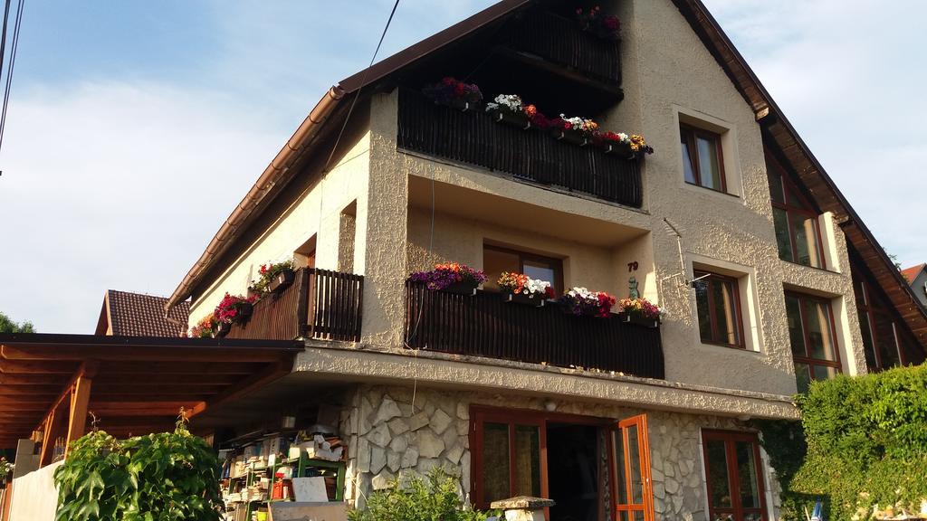 Apartmany Sharka -Sarka Justrova Decin Exterior foto