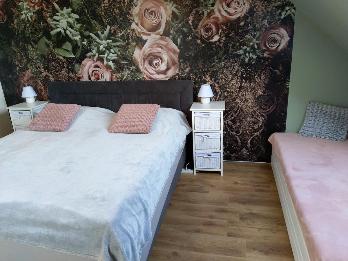 Apartmany Sharka -Sarka Justrova Decin Exterior foto