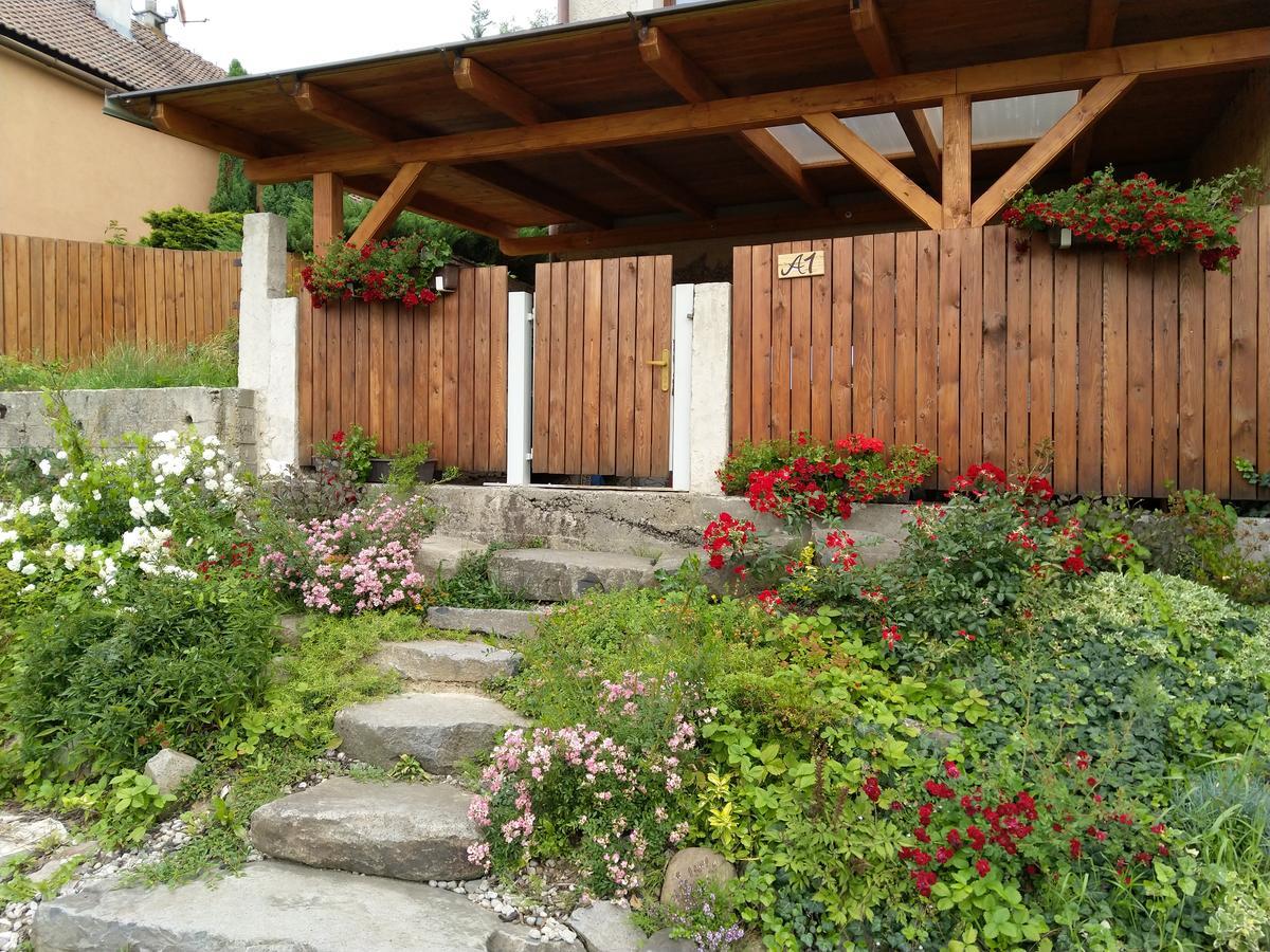 Apartmany Sharka -Sarka Justrova Decin Exterior foto